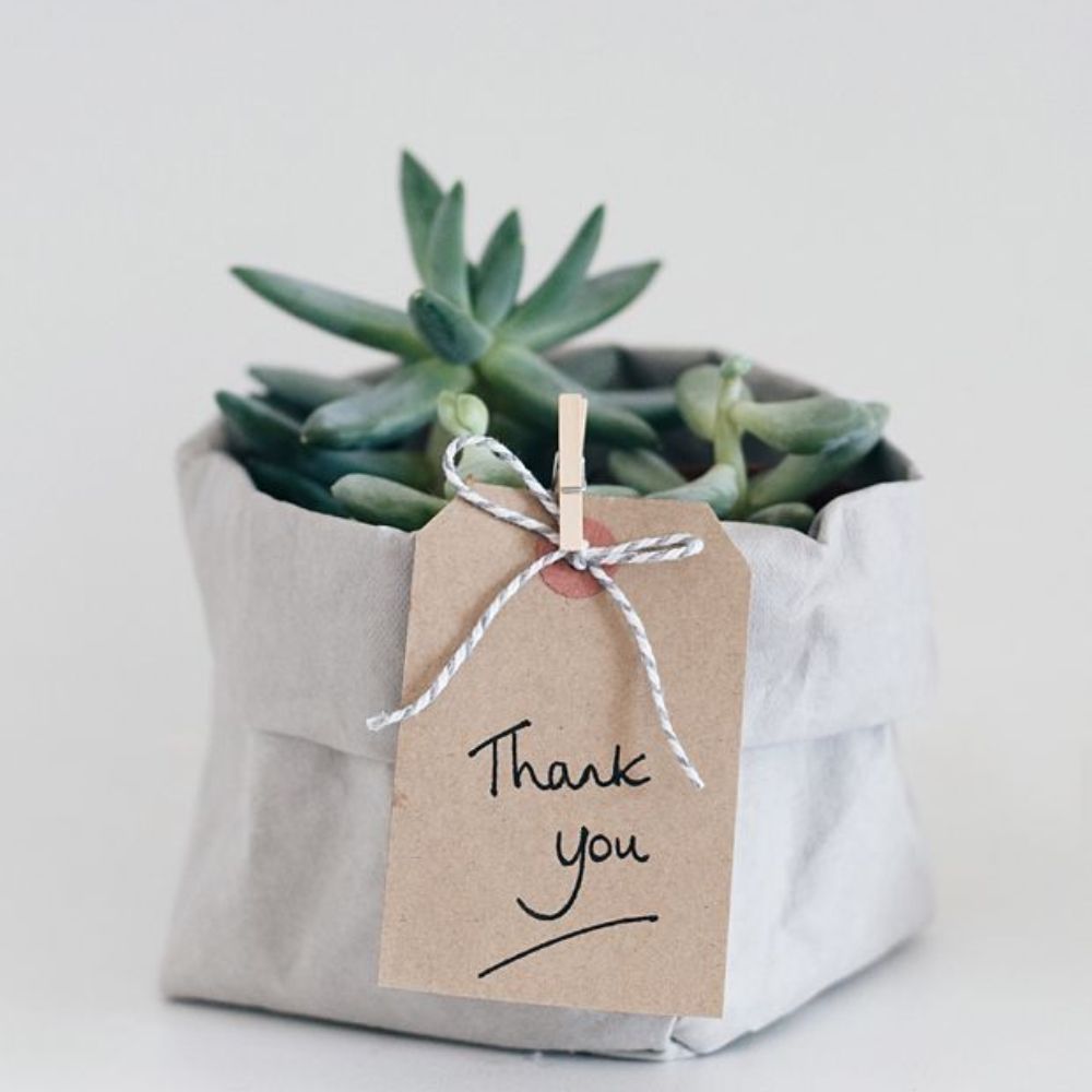 plant-gift