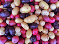 Seed Potatoes Varieties