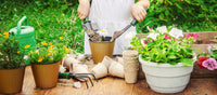 12 Essential Gardening Tips for Beginners in 2026