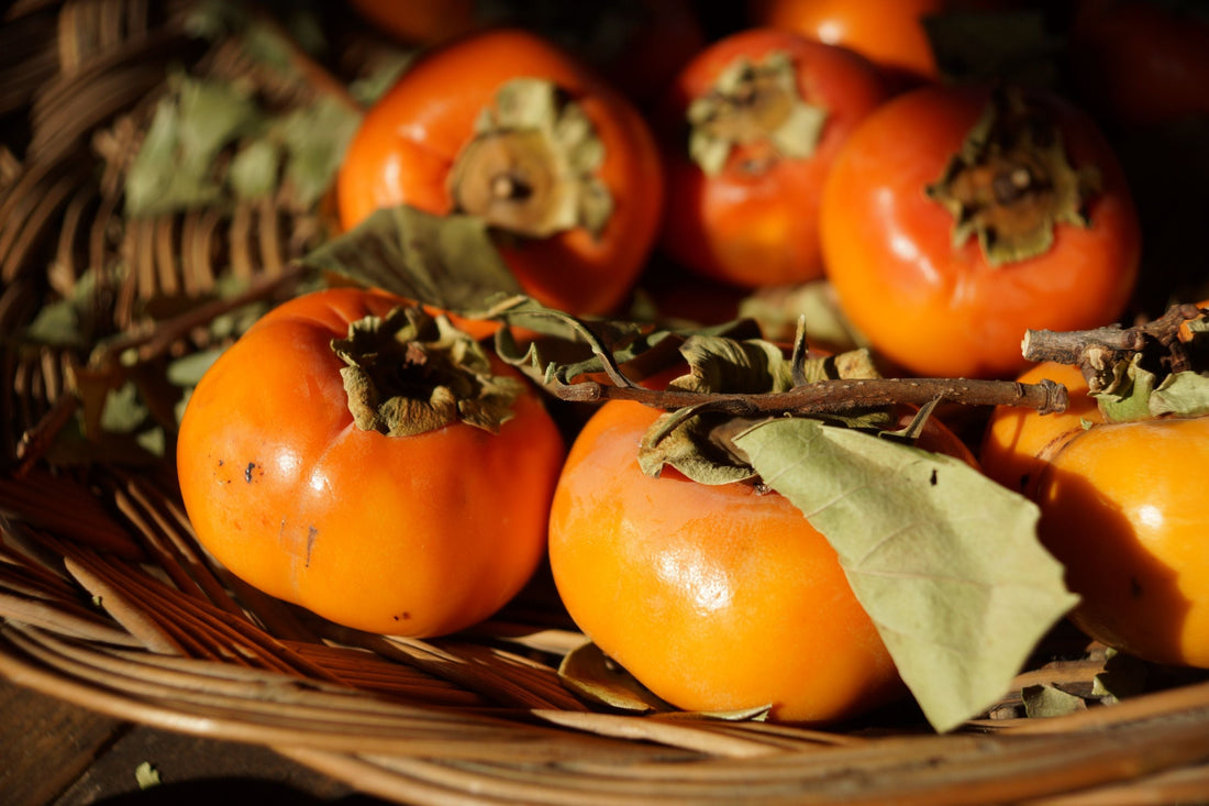 persimmon-fruit