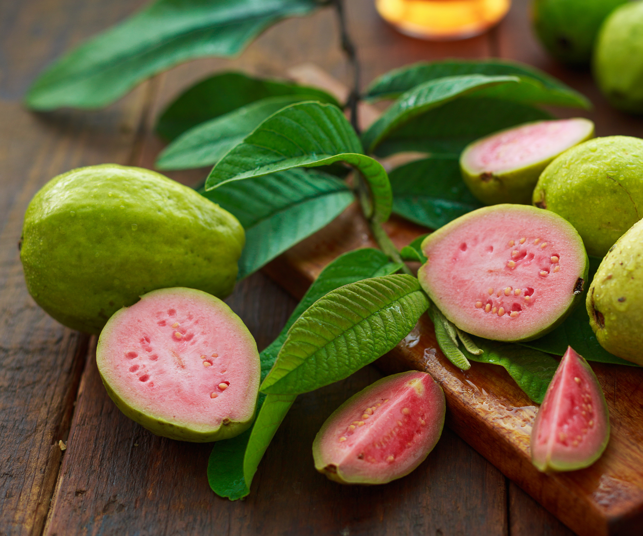 guava-tree-live-plant