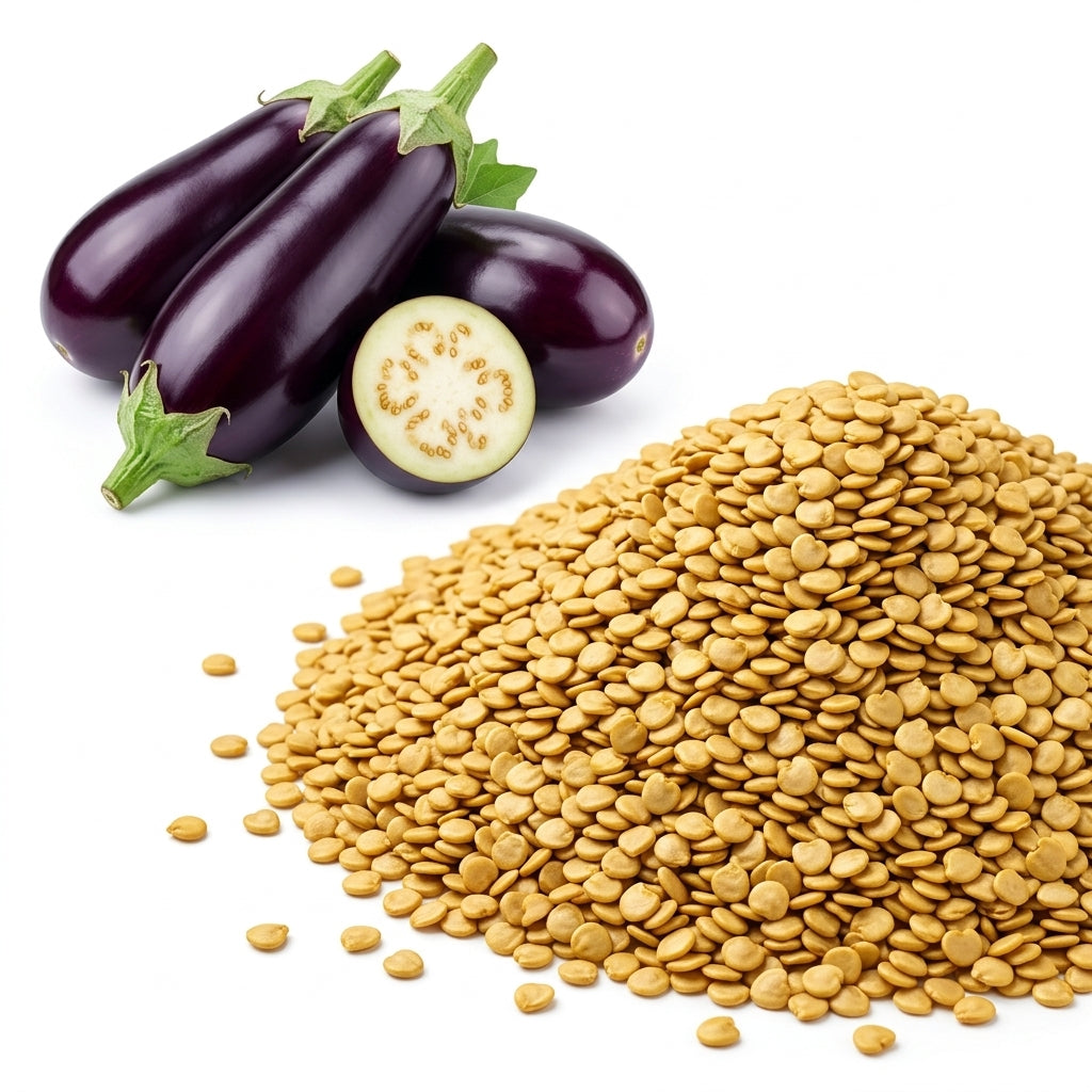 50 Eggplant Seeds - Purple Shine - Hybrid, Non-GMO, Long Glossy Purple Brinjal Vegetable Seeds, High-Yielding, Fast Growing Backyard Garden Crops
