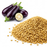 50 Eggplant Seeds - Purple Shine - Hybrid, Non-GMO, Long Glossy Purple Brinjal Vegetable Seeds, High-Yielding, Fast Growing Backyard Garden Crops
