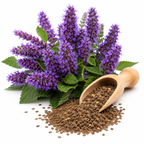 250 Anise Hyssop Seeds, Non GMO, Easy to Grow, Fragrant Seasonal Blooms, Flower Seeds for Outdoor Garden Planting