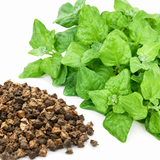 150 Pcs New Zealand Spinach Seeds, Non GMO, Heirloom, Easy Care Vegetable Gardening Seeds, for Raised Beds, Pots & Containers