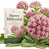 150 Pcs Showy Milkweed Seeds, Premium Non-GMO Heirloom Flowers for Patios - Vigorous Growth, Low Maintenance Meadow Displays