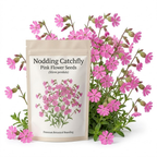 900 Pcs Nodding Catchfly Seeds, Vigorous, Cold-Hardy Plants, Grow Robust Pink Blooms for Rock Gardens