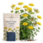 600 Pcs Birdsfoot Trefoil Seeds for Planting Outdoors, Grow Robust, Easy to Care Creeping Yellow Flowers for Yard Borders