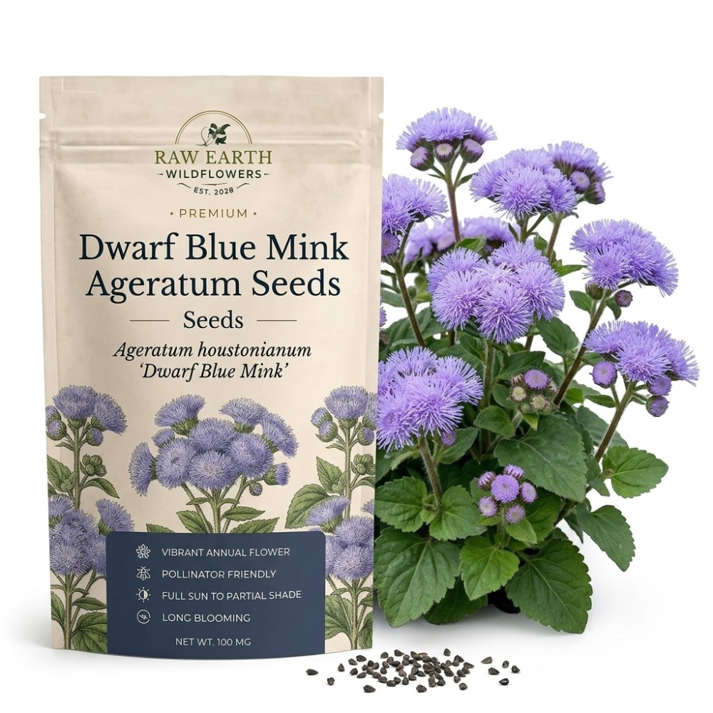 240 Pcs Blue Mink Ageratum Seeds by GINGERGLOW, Heirloom Dwarf Flowers for Planting, Fast-Growing Compact Plants for Bright Sunlit Gardens