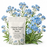 450 Pcs Heirloom Chinese Forget Me Not Seeds for Planting, Robust Lush Foliage & Bright Blue Flowers, Easy to Care Outdoor Yard Decor