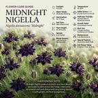 300 Pcs Midnight Nigella Seeds, Non-GMO Heirloom Flowers for Patios, Vigorous Growth Delivering Spectacular Star-Shaped Petals