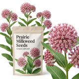 60 Pcs Prairie Milkweed Seeds for Planting Outdoors, Non-GMO Heirloom Perennial Seeds, Low Maintenance Cold-Hardy Pink Blooms for Yard Borders