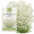 1500 Pcs Baby's Breath Seeds for Planting Outdoors, Non-GMO Heirloom Flowers, Low Maintenance Cloud Blooms for Yard Borders