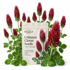 3000 Pcs Crimson Clover Seeds, Non-GMO Heirloom Flowers for Patios, Robust Lush Green Foliage & Bright Red Blooms, Low Maintenance Ground Cover