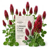 3000 Pcs Crimson Clover Seeds, Non-GMO Heirloom Flowers for Patios, Robust Lush Green Foliage & Bright Red Blooms, Low Maintenance Ground Cover