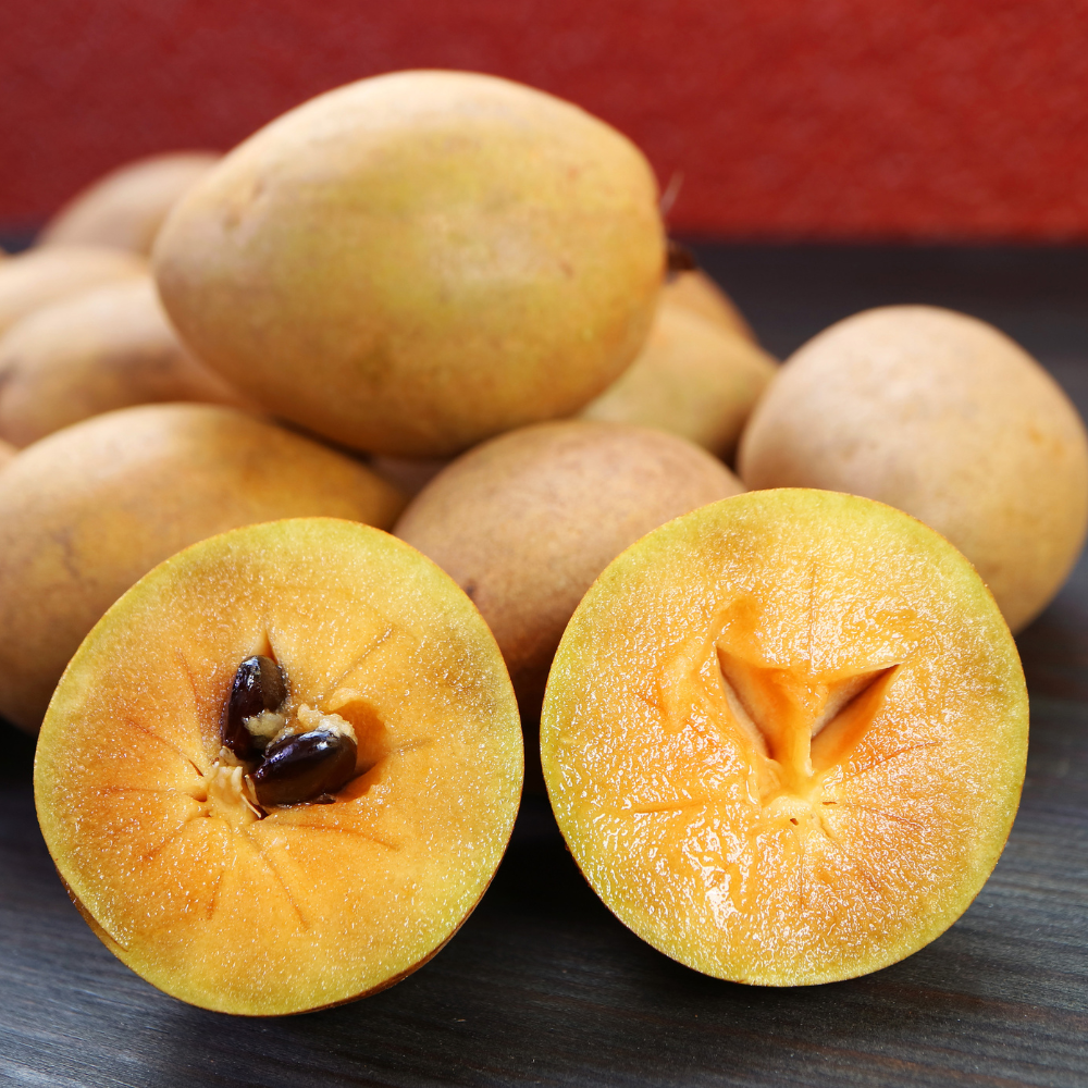 (No Ship to CA,HI,AK) Sapodilla Live Fruit Tree | Anola Sapodilla Fruit Seedling | 30-36 Inches Tall in 3 Gallons Pot | Tropical Fruit Plan for Planting Outdoor