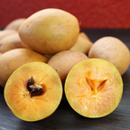 (No Ship to CA,HI,AK) Sapodilla Live Fruit Tree | Anola Sapodilla Fruit Seedling | 30-36 Inches Tall in 3 Gallons Pot | Tropical Fruit Plan for Planting Outdoor