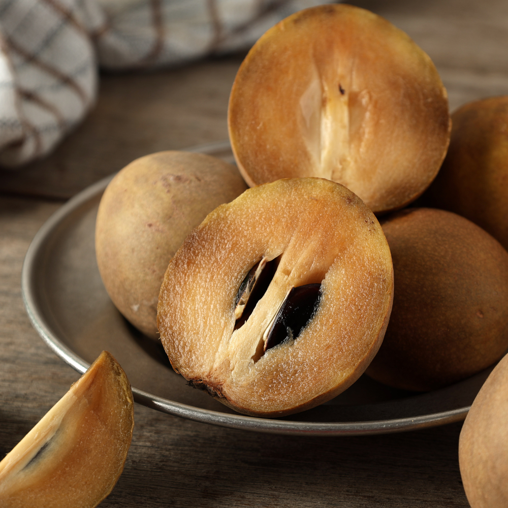 (No Ship to CA,HI,AK) Sapodilla Live Fruit Tree | Anola Sapodilla Fruit Seedling | 30-36 Inches Tall in 3 Gallons Pot | Tropical Fruit Plan for Planting Outdoor