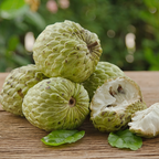 (No Ship to CA,HI,AK) Green Sugar Apple Tree Live Plant in 1 Gallon Pot | Tropical Annona Squamosa Custard Apple Tree | 16-24 Inches Tall | Well Rooted | Easy to Grow | Live Plant