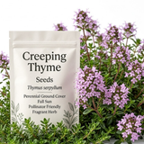 750 Pcs Creeping Thyme Seeds, Non-GMO Heirloom Ground Cover for Patios, Easy to Care Outdoor Yard Pathway Décor, Low Maintenance Perennial