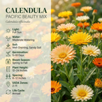 150 Calendula Seeds for Planting Outdoors (3 Packs), Heirloom Pacific Beauty Mix, Vigorous Flowers Yielding Striking Blooms for Balconies, Easy to Care