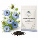 Blue Love In A Mist, 300 Nigella damascena Flower Seeds, Non-GMO, Annual High-Yield Soft Blue Misty Blooms, Ideal for Window Boxes, Borders & Gardens
