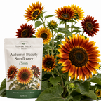 75 Pcs Autumn Beauty Sunflowers Seeds, Non-GMO Heirloom Flower Seeds for Patios & Gardens, Low Maintenance Cut Flowers