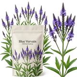 600 Pcs Wildflower Seeds for Planting - Blue Vervain, Cultivate Robust Upright Spikes & Bright Blue Flowers, Easy to Care Outdoor Yard Decor