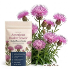 200 Basketflower Seeds for Planting Outdoors, Grow Robust, Easy to Care Fringed Pink Blooms for Sunlit Yard Borders