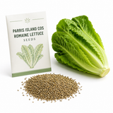 1000 Parris Island Cos Romaine Lettuce Seeds, Heirloom, Easy to Grow Lettuce Seeds, Crisp Crunchy Greens for Backyard Garden, Patios & Containers