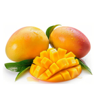 (No Ship to CA, HI, AK) Grafted NAM Doc Mai Yellow Mango Plant 2.5–3 Ft | Live Mango Fruit Tree | Fast-Growing Tropical Variety for Outdoor Growing & Container Gardening