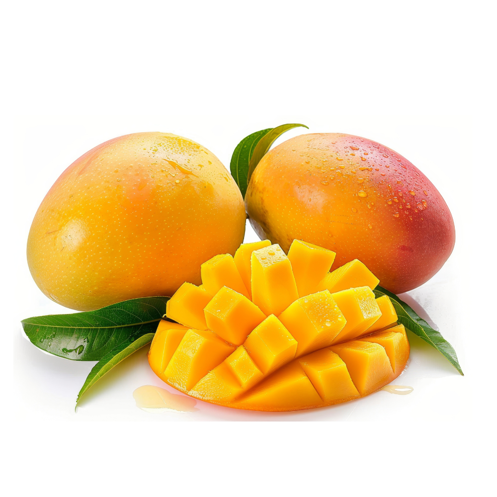 (No Ship to CA, HI, AK) Grafted NAM Doc Mai Yellow Mango Plant 2.5–3 Ft | Live Mango Fruit Tree | Fast-Growing Tropical Variety for Outdoor Growing & Container Gardening