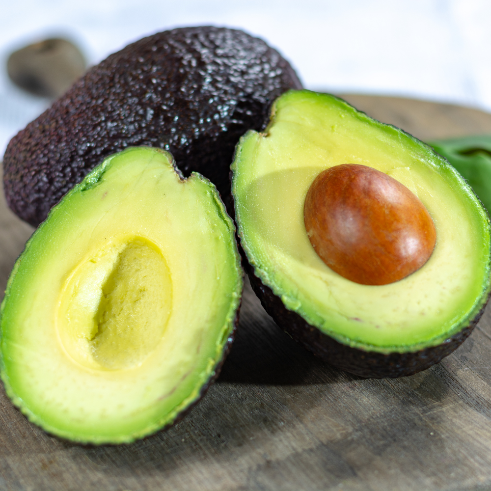 (No Ship to CA,HI,AK) HASS Avocado Tree for Planting | 2.5–3 Ft Live Potted Tree | Fast-Growing Fruit Tree for Home Gardens, Patios & Containers