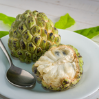 (No Ship to CA,HI,AK) Green Sugar Apple Tree Live Plant | 16-24 Inches Tall in 1 Gallon Pot | Easy to Grow Tropical Custard Apple Fruit Tree for Indoor and Outdoor | Live Plant Only
