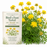 200 Pcs Bird's Foot Trefoil Seeds, Heirloom Non-GMO Perennial, Sturdy Low Maintenance Cold-Hardy Yellow Blooms