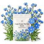 600 Pcs Cape Forget Me Not Seeds, Vigorous, Cold-Hardy Plants, Grow Robust True Blue Blooms for Edging, Rock Gardens & Outdoor Landscapes