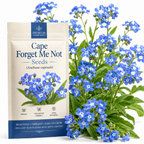 200 Pcs Cape Forget Me Not Seeds, Heirloom Non-GMO Summer Flowers, Low Maintenance Drought-Tolerant Blooms for Yard Borders