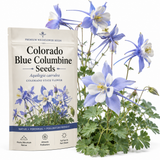 100 PCs Columbine Seeds for Planting, Non-GMO Heirloom Colorado Blue Seeds, Low Maintenance Cold-Hardy Blue & White Blooms for Yard Borders