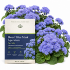 120 Pcs Dwarf Blue Mink Ageratum Seeds for Planting Outdoors, Non-GMO Heirloom Fluffy Flowers, Low Maintenance Powder Blue Blooms for Yard Borders