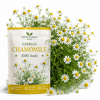 3500 German Chamomile Seeds for Planting Outdoors, Vigorous Herb Seeds, Sturdy Low Maintenance Aromatic Flowers with White Blooms for Patios & Gardens