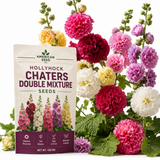 50 Hollyhock Chaters Mix Seeds for Planting Outdoors, Vigorous Non-GMO Heirloom Flower Seeds, Sturdy Tall & Striking Ruffled Blooms for Gardens