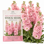 50 Pcs Stock Katz Cherry Blossom Seeds, Heirloom Non-GMO Annual, Low Maintenance Cold-Hardy Pastel Pink Blooms for Cut Floral Bouquets