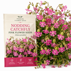 300 Pcs Nodding Catchfly Seeds, Heirloom Non-GMO Wildflowers, Low Maintenance Cold-Hardy Drooping Pink Blooms for Yard Borders