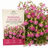 300 Pcs Nodding Catchfly Seeds, Heirloom Non-GMO Wildflowers, Low Maintenance Cold-Hardy Drooping Pink Blooms for Yard Borders