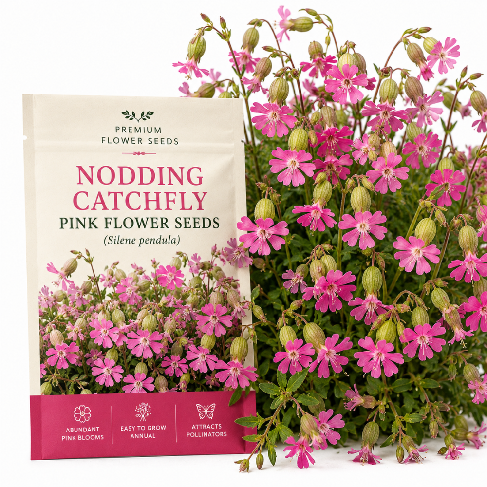 300 Pcs Nodding Catchfly Seeds, Heirloom Non-GMO Wildflowers, Low Maintenance Cold-Hardy Drooping Pink Blooms for Yard Borders