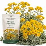 100 Pcs Oregon Sunshine Seeds for Planting Outdoors, Non-GMO Heirloom Yellow Floral Ground Cover, Cold-Hardy Blooms for Sunny Borders