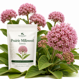 20 Pcs Milkweed Seeds for Planting, Prairie Heirloom, Vigorous Perennial Flowers Yielding Striking Blooms for Backyards