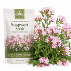 300 Pcs Pink Rock Soapwort Seeds, Heirloom Non-GMO Perennial Ground Cover, Low Maintenance Trailing Blooms for Yard Borders