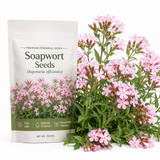 300 Pcs Pink Rock Soapwort Seeds, Heirloom Non-GMO Perennial Ground Cover, Low Maintenance Trailing Blooms for Yard Borders