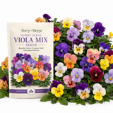 25 Sorbet Series Viola Mix Seeds for Planting Outdoors, Non-GMO Flower Seeds, Sturdy Low Maintenance Cold-Hardy Blooms for Patios